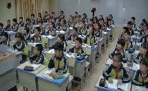 鹬 在线观看,自然奇观与生命启示的视觉盛宴  第2张